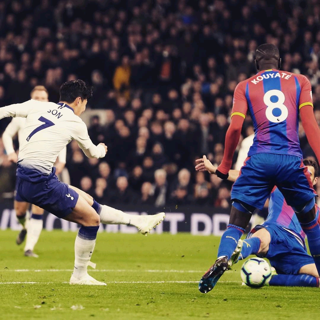 但可以肯定 但可以肯定