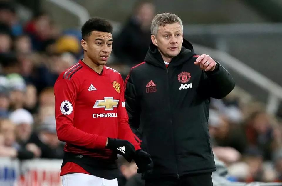 花攻击线的 花攻击线的