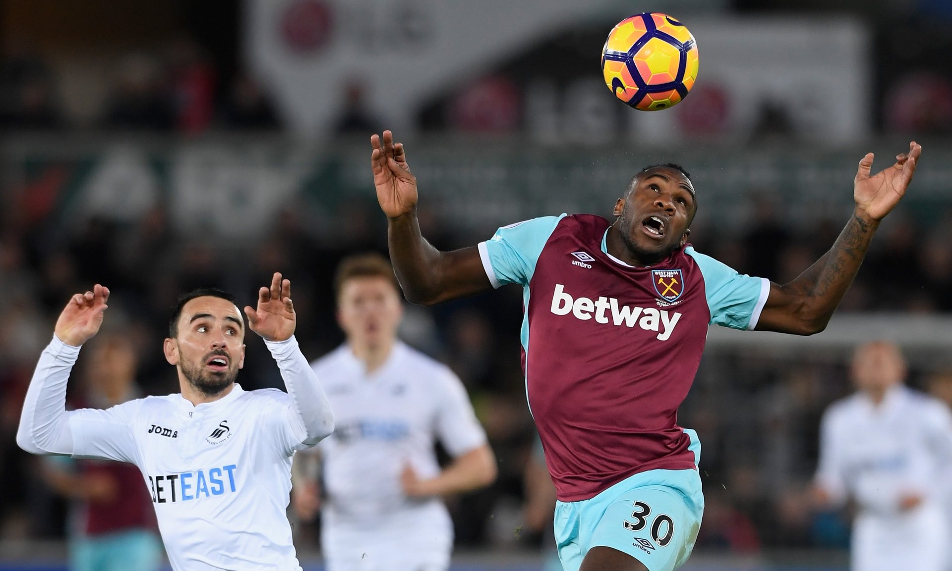 周大地的期 周大地的期